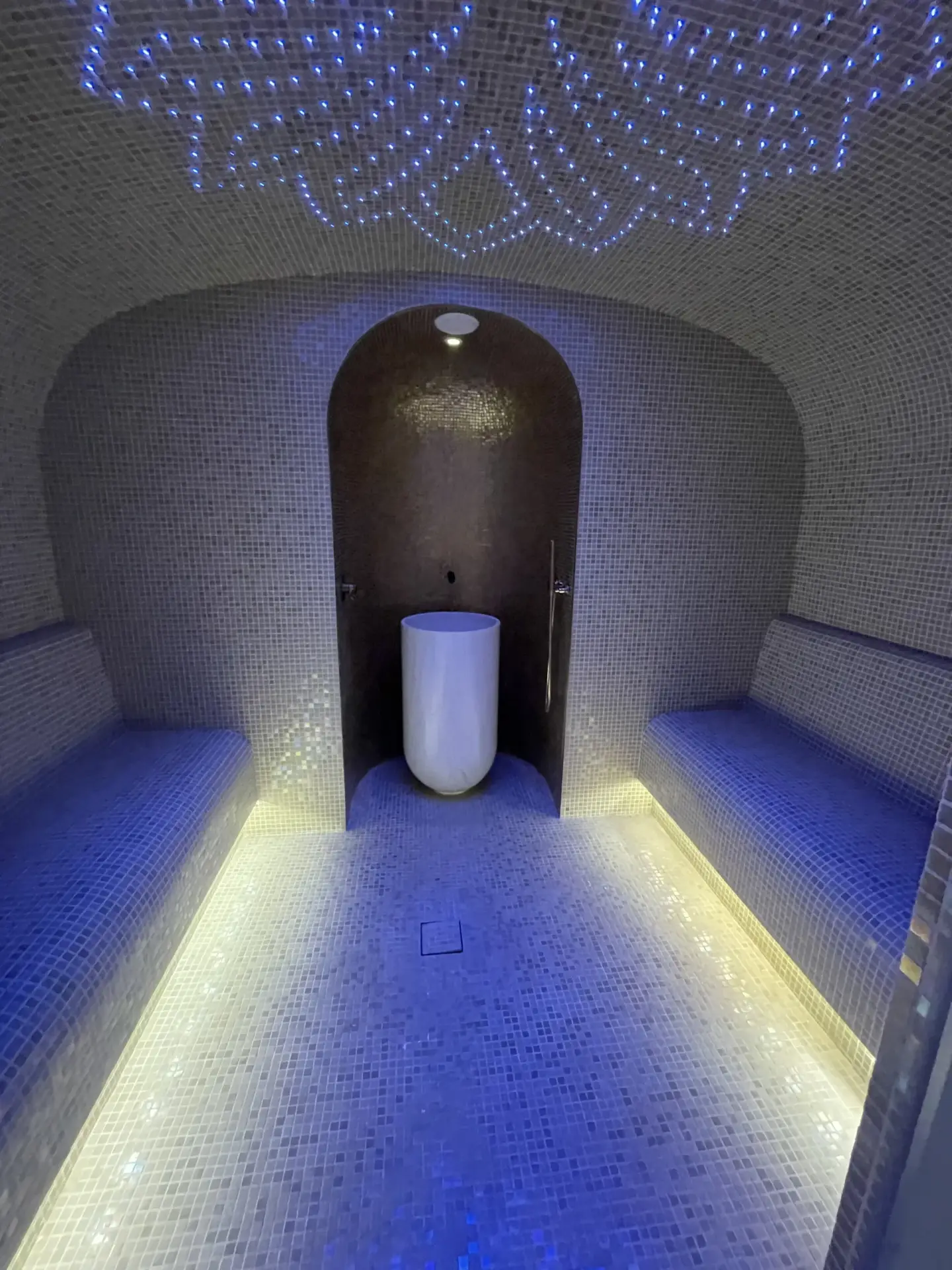 Modern commercial spa restroom and steam room environment